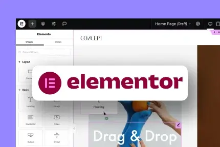 Elementor Tutorial Sinhala